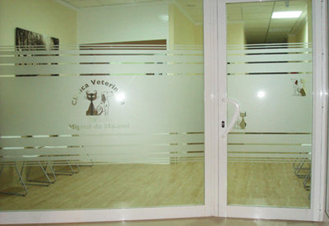 Дверь и перегородка из матового стекла с рисунком в магазин