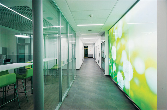 Зонирование пространства с помощью прозрачных и декоративных стеклянных перегородок