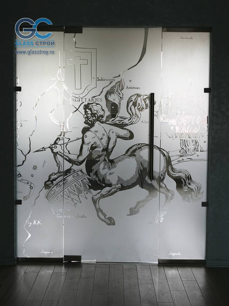 Маятниковая стеклянная дверь с рисунком