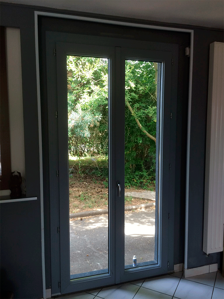 дверь входная стеклянная двустворчатая