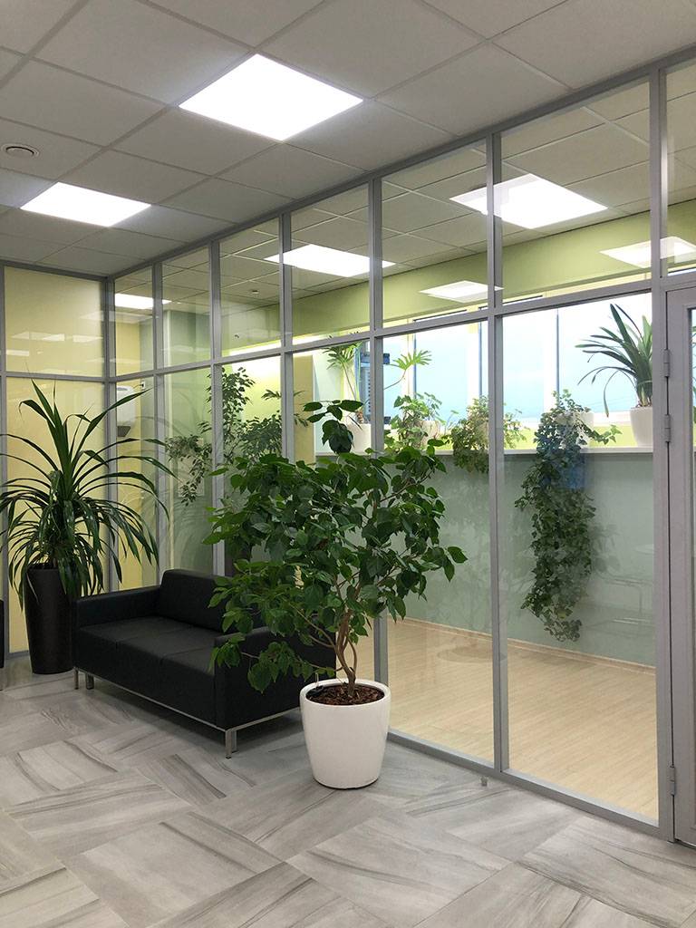 Перегородки из стекла в интерьере офиса