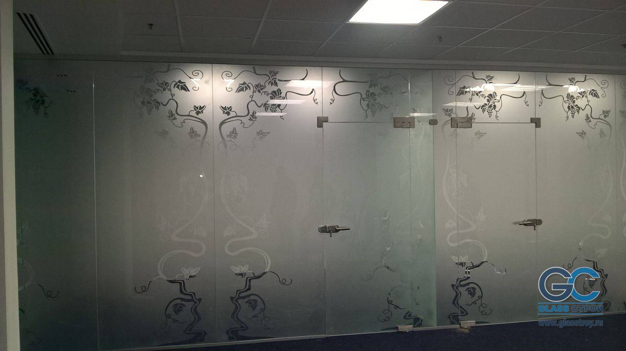 Одностворчатые двери на стеклянных перегородках