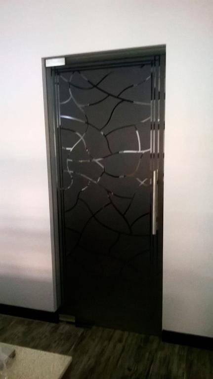 Однопольная маятниковая дверь из стекла