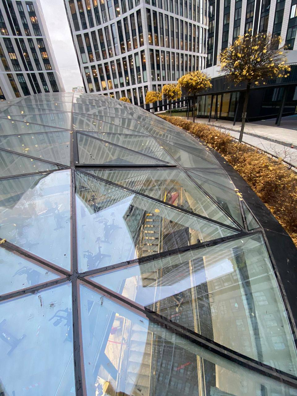 Стильный купол из стекла