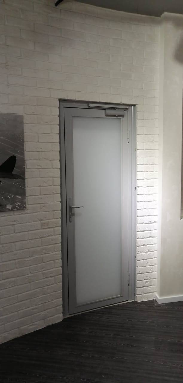 Стеклянная каркасная дверь с доводчиком