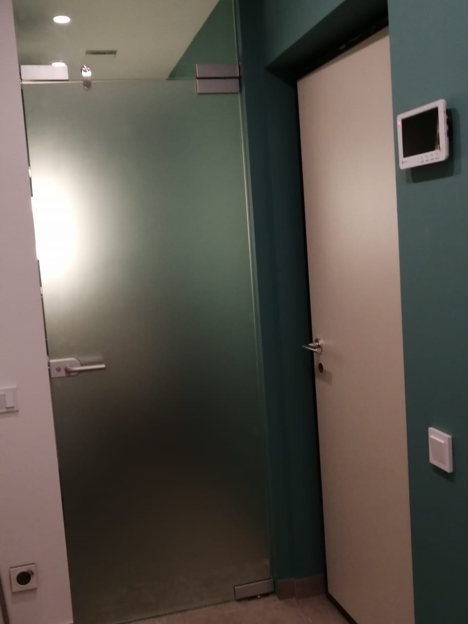 Дверь из стекла с фрамугой