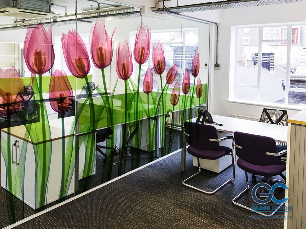 Офис в стиле модерн с перегородками из цветного стекла