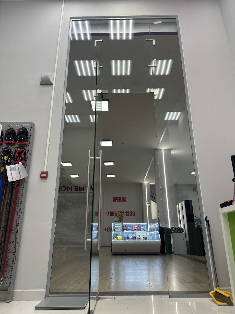 Маятниковые двери