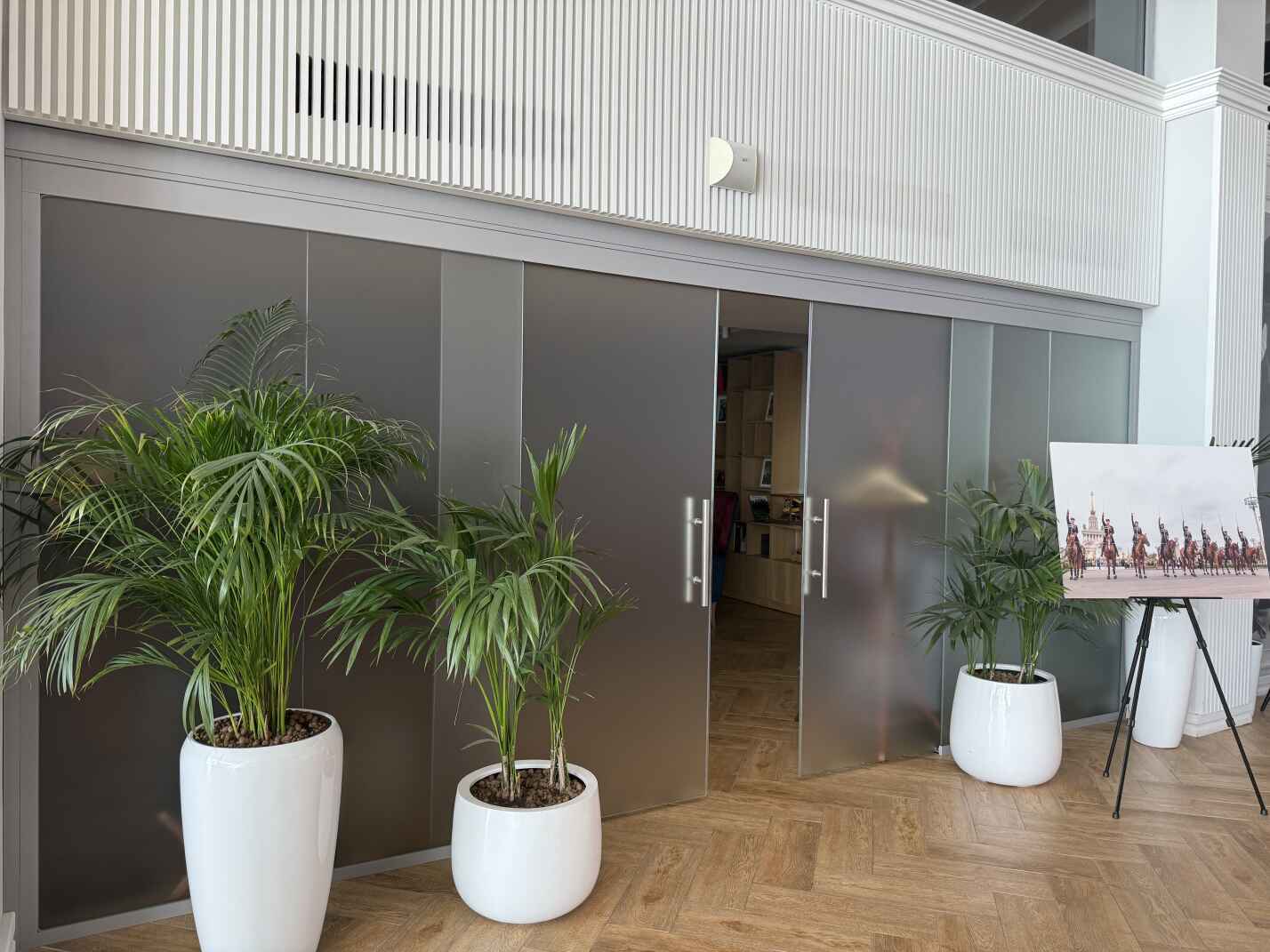 Раздвижные стеклянные двери с панелями