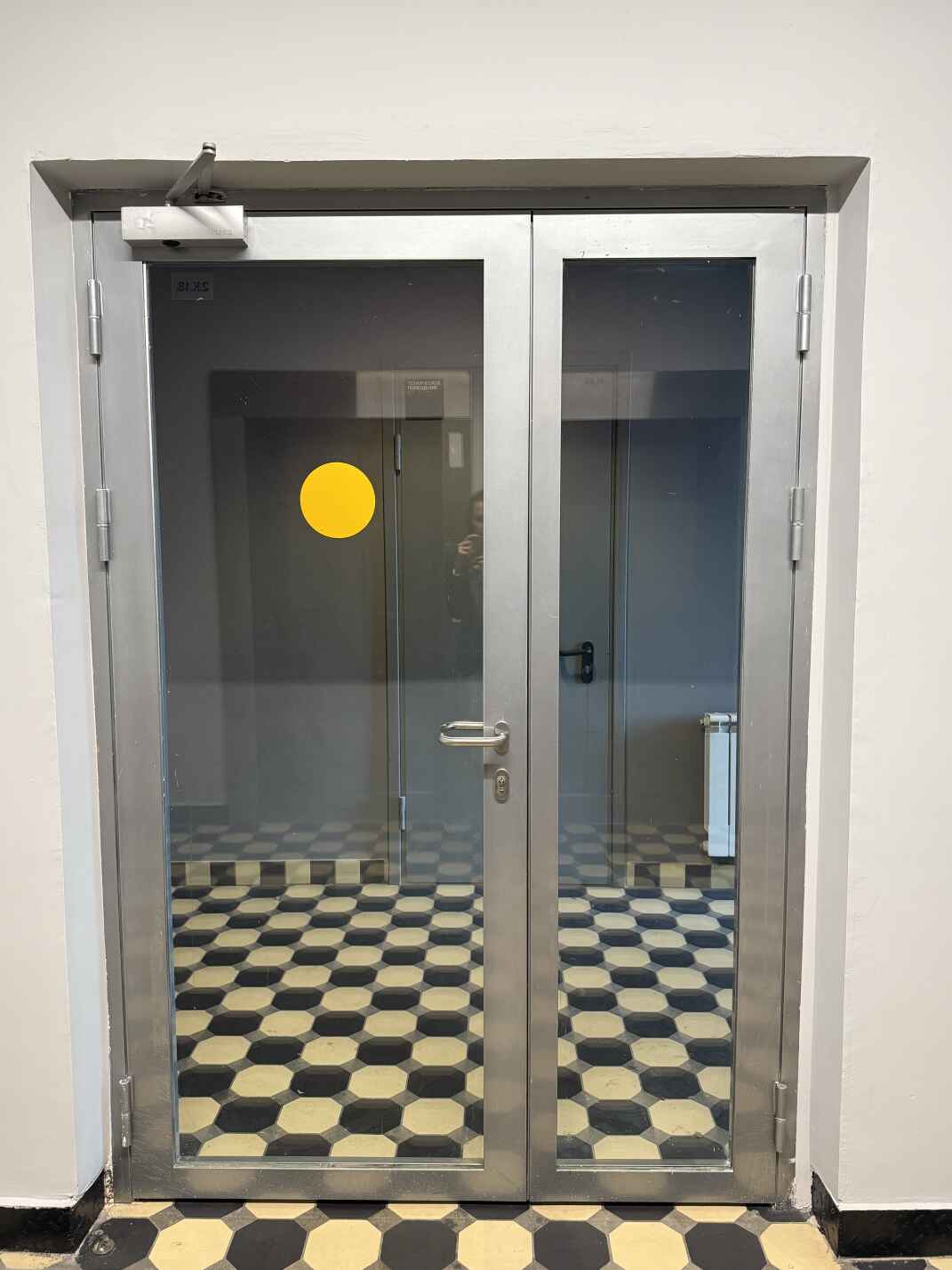 Стеклянные алюминиевые входные двери с доводчиком