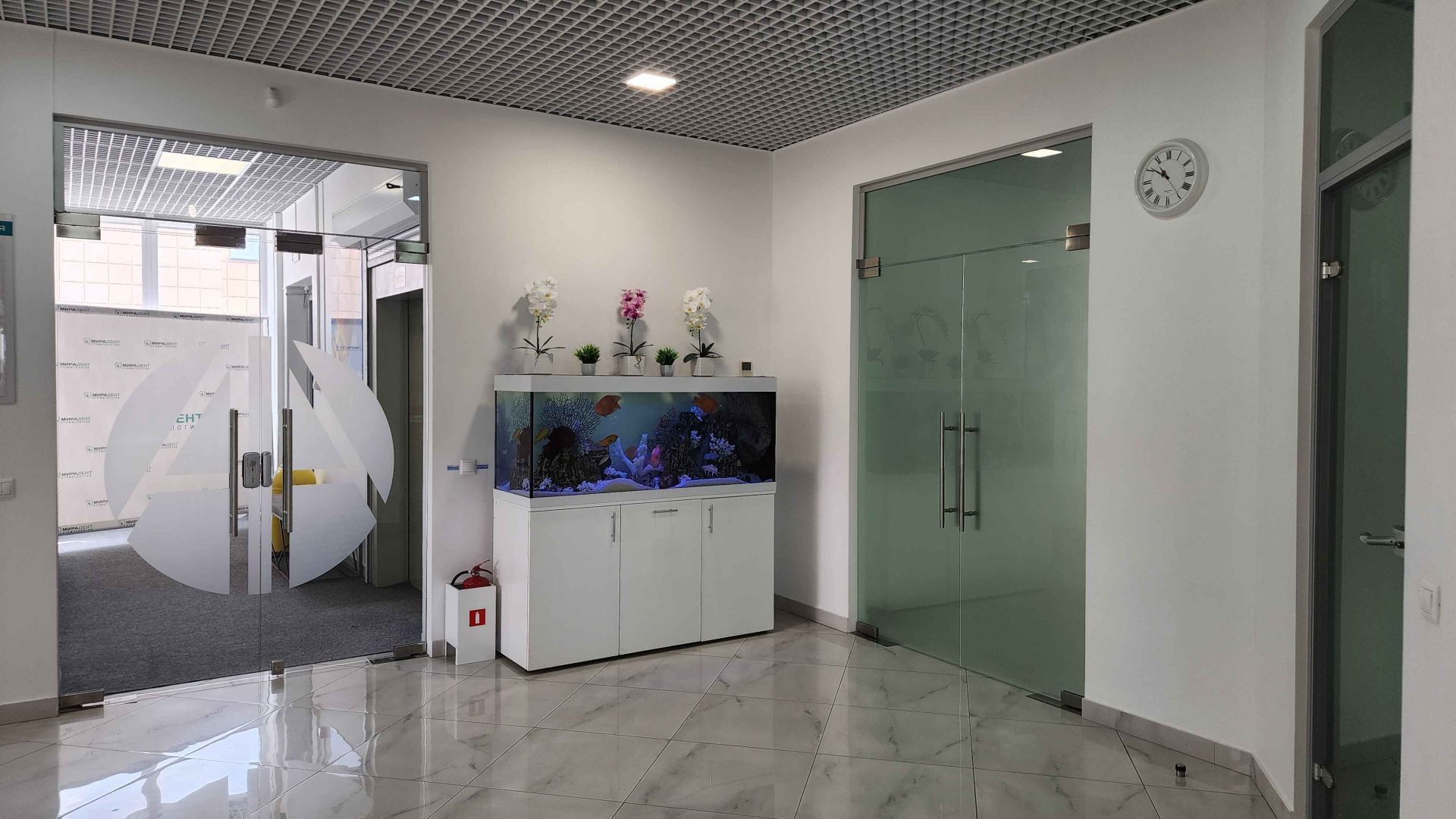 Маятниковые двери с плёнкой