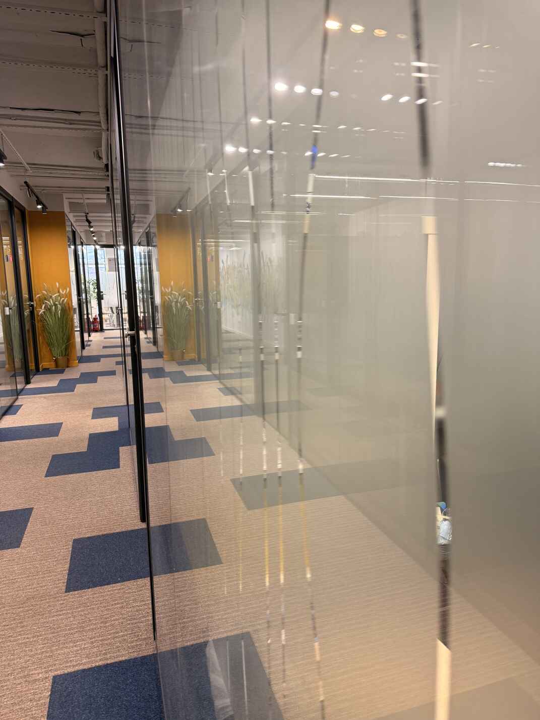 Каркасные стеклянные матовые перегородки для офиса