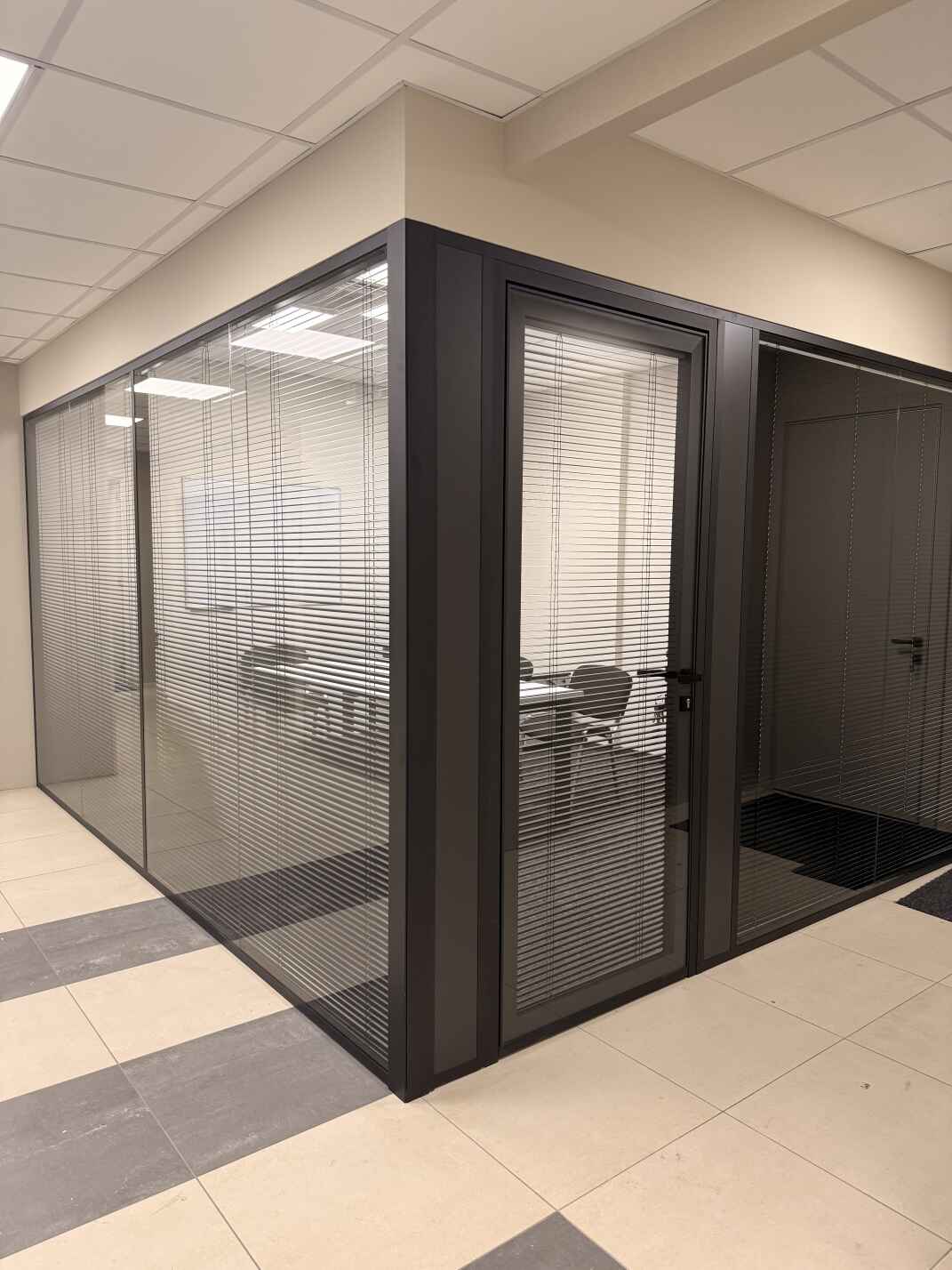 Каркасные стеклянные перегородки и двери