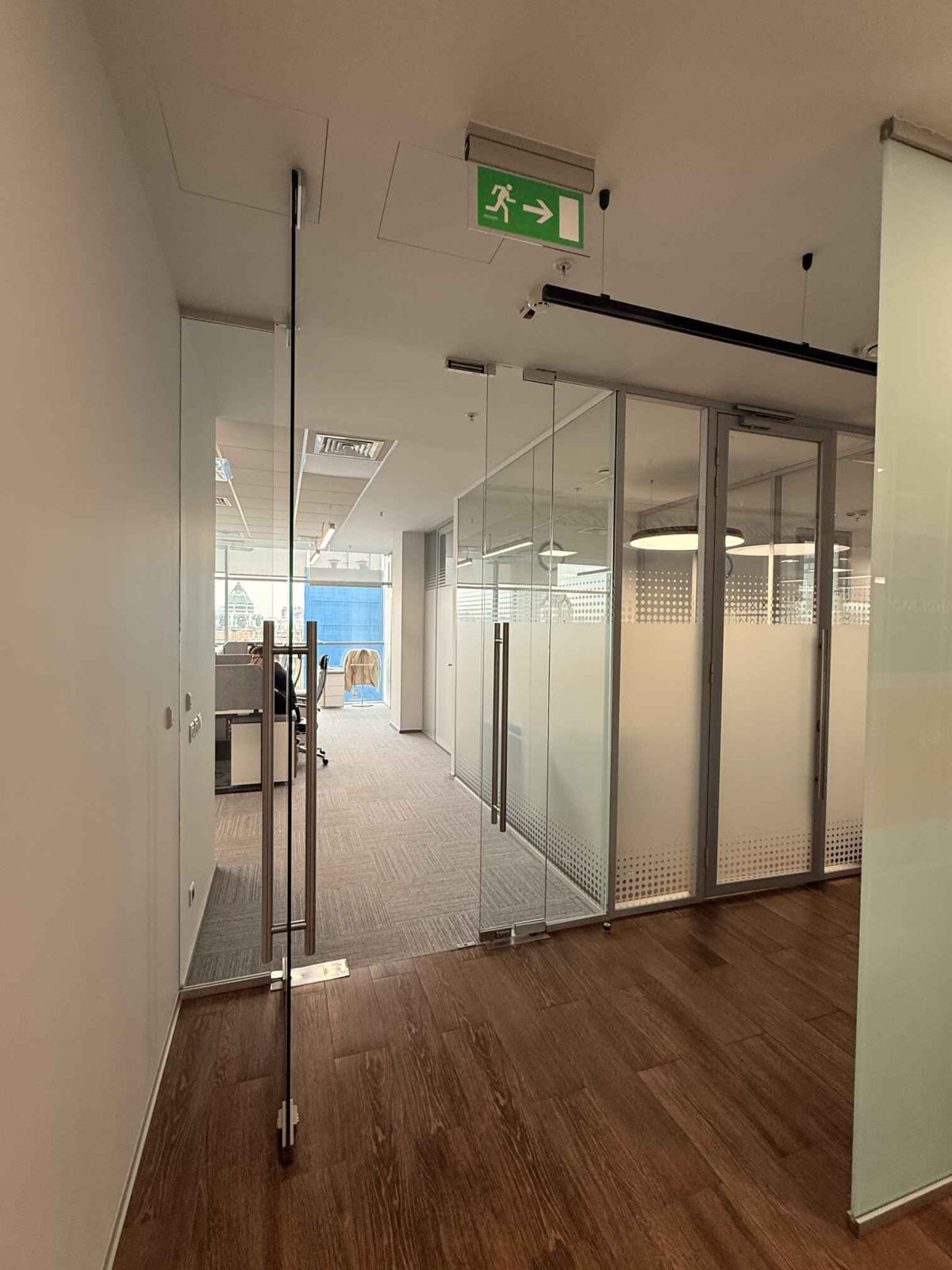 Безкаркасные двери из стекла