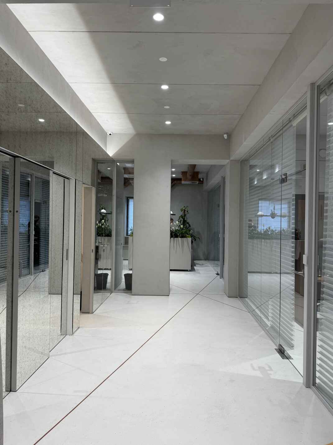 Стеклянные перегородки