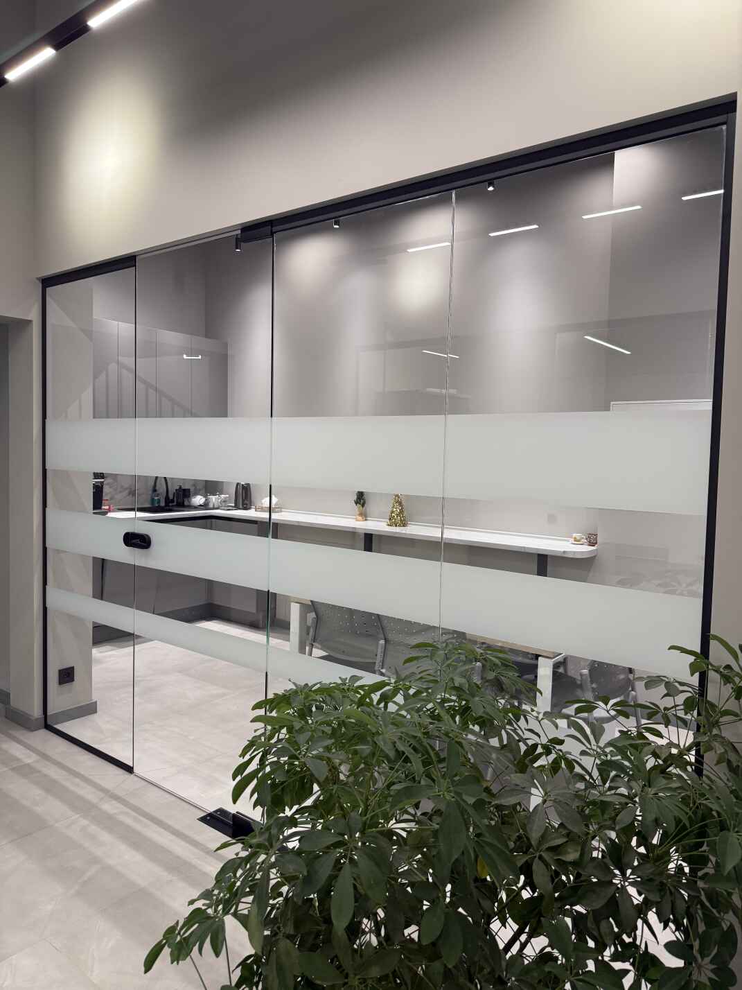 Цельностеклянные перегородки и двери